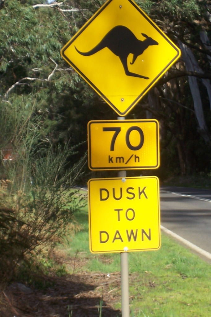 Don't run into them at night!