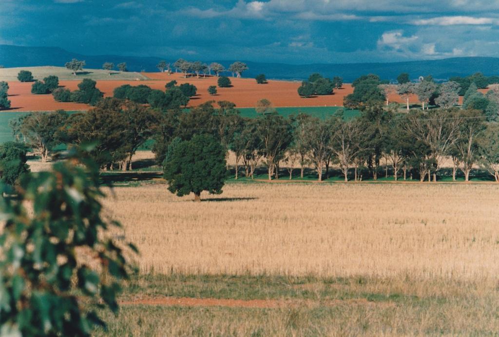Colours of Australia