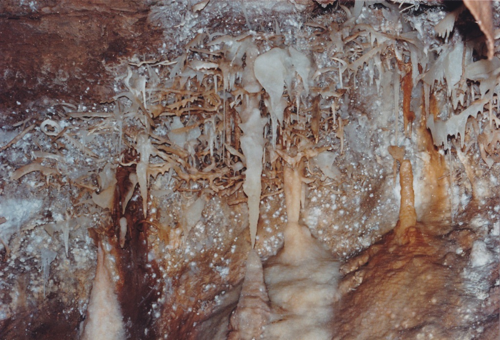 Jenolan Caves
