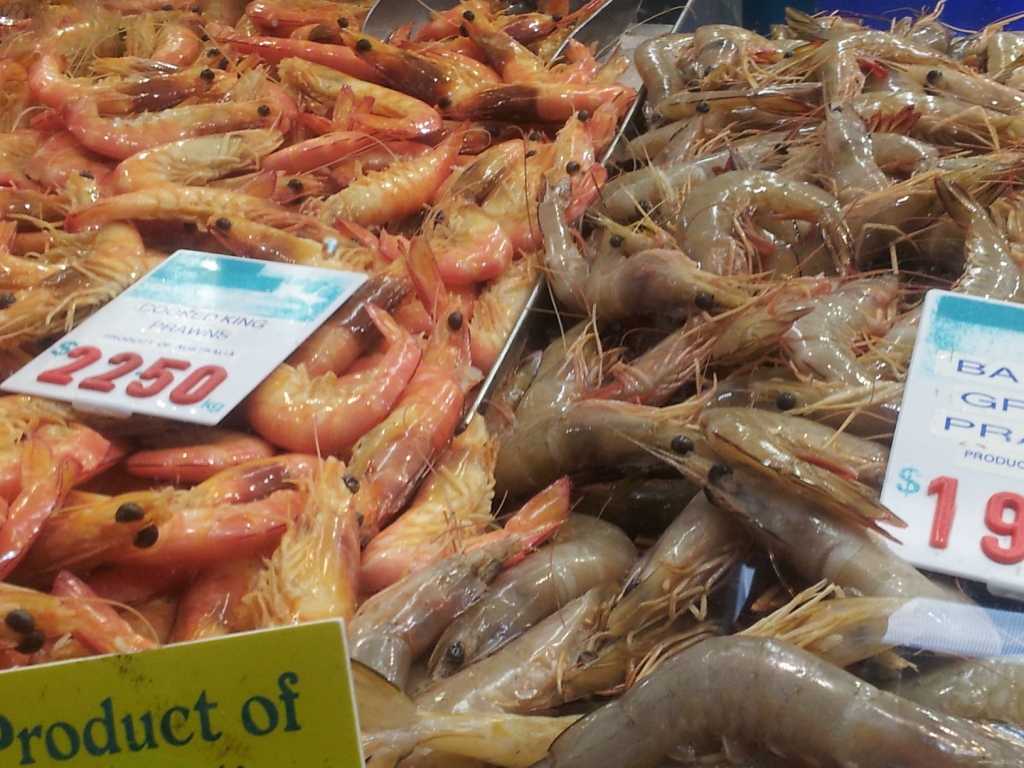 Prawns